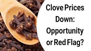 Clove Prices Down Opportunity or Red Flag [upl. by Gunar]