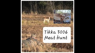 Tikka t3x 3006 Hunt  Fallow Spiker [upl. by Schonthal]