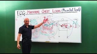 ECG  EKG  Chest Leads  Cardiology  Dr Najeeb🩺 [upl. by Emie]