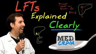 Liver Function Tests LFTs Explained Clearly by MedCramcom [upl. by Anu]