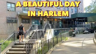 Taft Project’s  5th Avenue amp 112 Street hoodvlogs nyc harlem [upl. by Alvinia679]