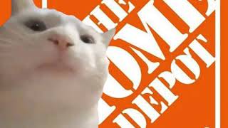 Cat Vibing to the Home Depot Theme Song [upl. by Aenel]