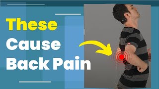 5 Common Causes of Back Pain [upl. by Carisa]