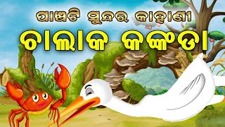 5 Special Story  Odia moral Story  Odia gapa  Suna kuradhi  Odia story  Squirrel Animation [upl. by Gabel]