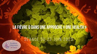 La fièvre Q dans une approche « One Health »  Introduction [upl. by Clemens]