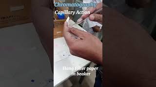 Capillary Action and chromatography biotechnology biochemistry labwork bioteclab chromatography [upl. by Gnen]