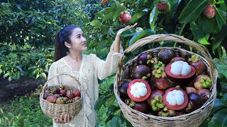 Mangosteen fruit is so sweet and delicious  Have you ever eaten mangosteen fruit [upl. by Levi]