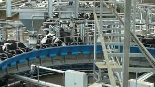 Fullwood Rotary Milking System 2010 [upl. by Otrebile]