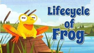 life cycle of a frog [upl. by Leahcimnaj398]