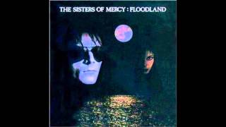 The Sisters of Mercy  This Corrosion Floodland album [upl. by Oelc]