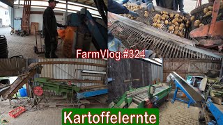 Farmvlog 324 Kartoffelernte  Sortieranlage wieder defekt [upl. by Gredel]