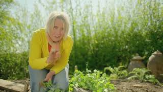 🔴 GardenersWorld  Gardening with Carol Klein How to Take BASAL CUTTINGS 2022 [upl. by Ogawa]