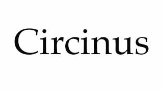 How to Pronounce Circinus [upl. by Esli]