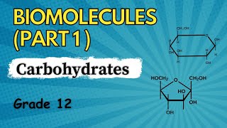 Biomolecules  Carbohydrates  Grade 12 examdrill [upl. by Min651]