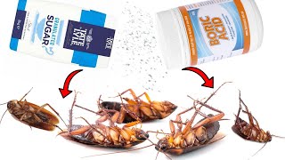 How To Kill Cockroaches With Boric Acid and Sugar [upl. by Laersi955]