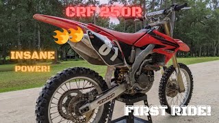 HONDA CRF250R First Impression Ride INSANE POWER [upl. by Hebel314]