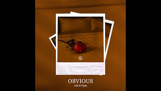 Colt Lipip  Obvious Official Lyric Video [upl. by Gnilyam]