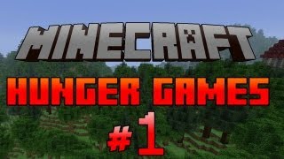 Minecraft Hunger Games ITA Ep1  VITTORIA LAGGANTE [upl. by Nevyar880]