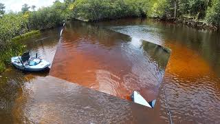 Loxahatchee River Kayak Cruise and Fishing [upl. by Somar]