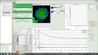 SymPhoTime Tutorial FLIM Lifetime Fitting [upl. by Rednaeel]