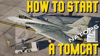 DCS F14 Tomcat Pilot Startup Tutorial  Real life procedures explained [upl. by Mohun218]