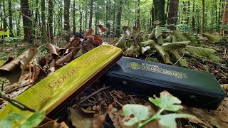 Review of Hohner Golden Melody Tremolo Harmonica [upl. by Ossy]