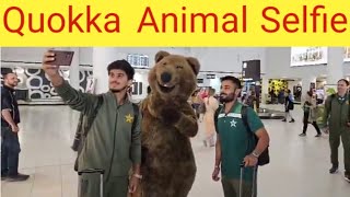 Saim Ayub Saud Shakeel take Quokka Selfie  Pak Team Reached Perth Australia [upl. by Alasteir]