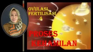 Ovulasi Fertilisasi dan Proses Kehamilan [upl. by Aciretehs752]