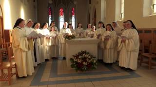 Silent Night at Glencairn Abbey [upl. by Nadnarb]