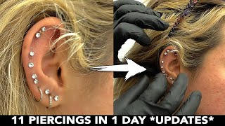 11 Piercings In One Day Update Video Shes Having Issues [upl. by Nosirrah]