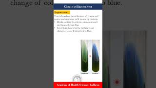 Citrate utilization test Biochemical tests  Microbiology  by ImranY aseen [upl. by Ramses385]