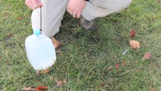 How to wash your hands while camping An easy setup [upl. by Hgielrebmik579]