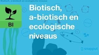 Biologie  Biotisch abiotisch en ecologische niveaus [upl. by Ayoral760]