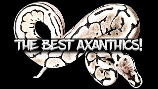 How to Make the Best Axanthic Ball Python Combos [upl. by Rimidalb]