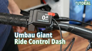 Umbau Giant RideControl Dash 2in1  TUTORIAL Elektrofahrrad24de [upl. by Zetrac]