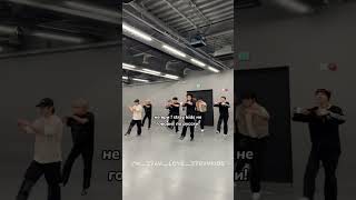 по запросу  straykids skz fyp pyf rge fypシ゚ 143 [upl. by Hamirak824]