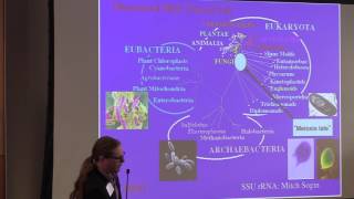 Evolution of Meiosis  John Logsdon  EvSex [upl. by Normand]