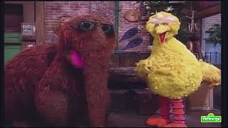 সিসিমপুর Sesame Street  Best Friends Bengali [upl. by Annaehs440]