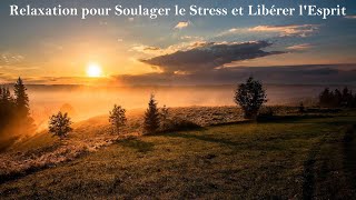 RELAXATION Intense pour Évacuer le Stress les Pensées Négatives et Libérer lEsprit • 5 Heures [upl. by Oicneconi6]