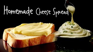 Healthy Homemade Cheese Spread  High Protein amp Low Fat घर पे बनाएँ चीज़ homemadecheese [upl. by Aniratak]