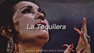 La Tequilera [upl. by Emmeline188]