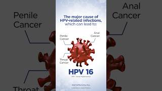 HPV Facts Every Man Should Know seruminstituteofindia [upl. by Alvar]