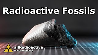 Uranium in Fossils Testing My Radioactive Megalodon Tooth [upl. by Naanac]