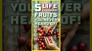 5 LifeChanging Super Fruits You’ve Never Heard Of [upl. by Kalvn]