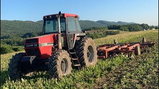 Disking Ground amp Making 1st Cutting Alfalfa [upl. by Kluge]