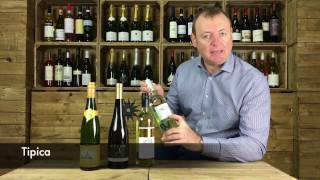 Episode 4  Top Pinot Grigio Tips [upl. by Buchalter]