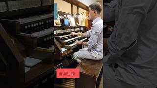 Alleluja organista liturgia uwielbienie [upl. by Hameerak]