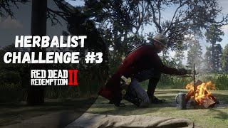 Herbalist Challenge 3 Guide  Red Dead Redemption 2 [upl. by Suoicerpal262]