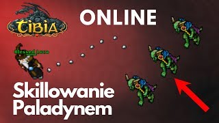 Jak skillować paladynem na Lizard Magistratus  Tibia GUIDE [upl. by Ilajna]