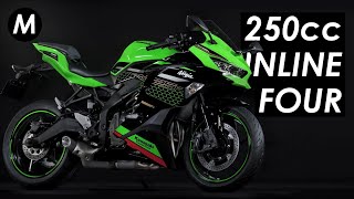 New 2020 Kawasaki ZX25R 250cc Inline4 Motorcycle Announced [upl. by Yendyc]